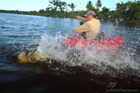 Action close up Action close up