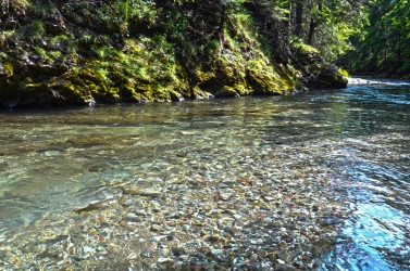 Well camouflaged Well camouflaged