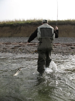 Quick landing Quick landing