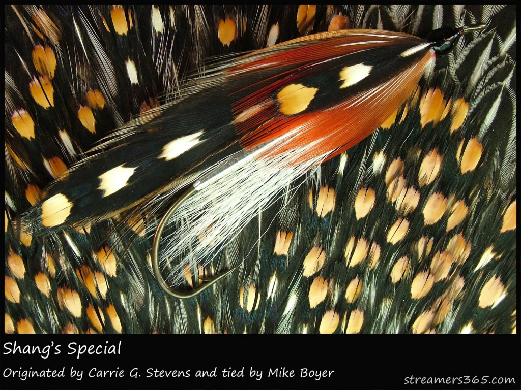 #19 Shang's Special - Mike Boyer #19 Shang's Special - Mike Boyer