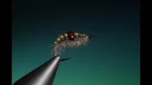 Video thumb for Melt Glue Gammarus