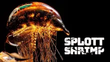 Video thumb for Splott Shrimp
