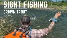 Video thumb for Sight fishing New Zealand Brown Trout.