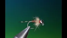 Video thumb for Hard Head Pheasant Tail Jig